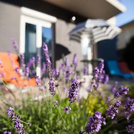 Siofok, Lake Balaton 11 Apartament *